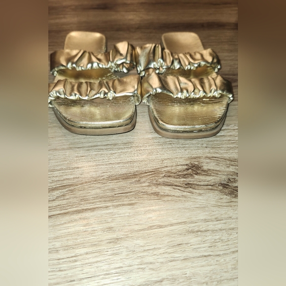 Silver Coach Slides/ Gold Slides - Picture 4 of 4